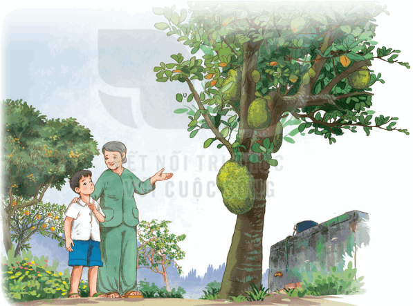 Bài 13: Vườn của ông tôi Tiếng Việt lớp 4 Kết nối tri thức