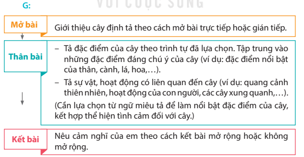 Bài 22: Cái cầu Tiếng Việt lớp 4 Kết nối tri thức